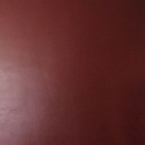 Meet your Posher, Brandi